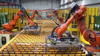 Foto: ICAPlants, via Wikimedia Commons